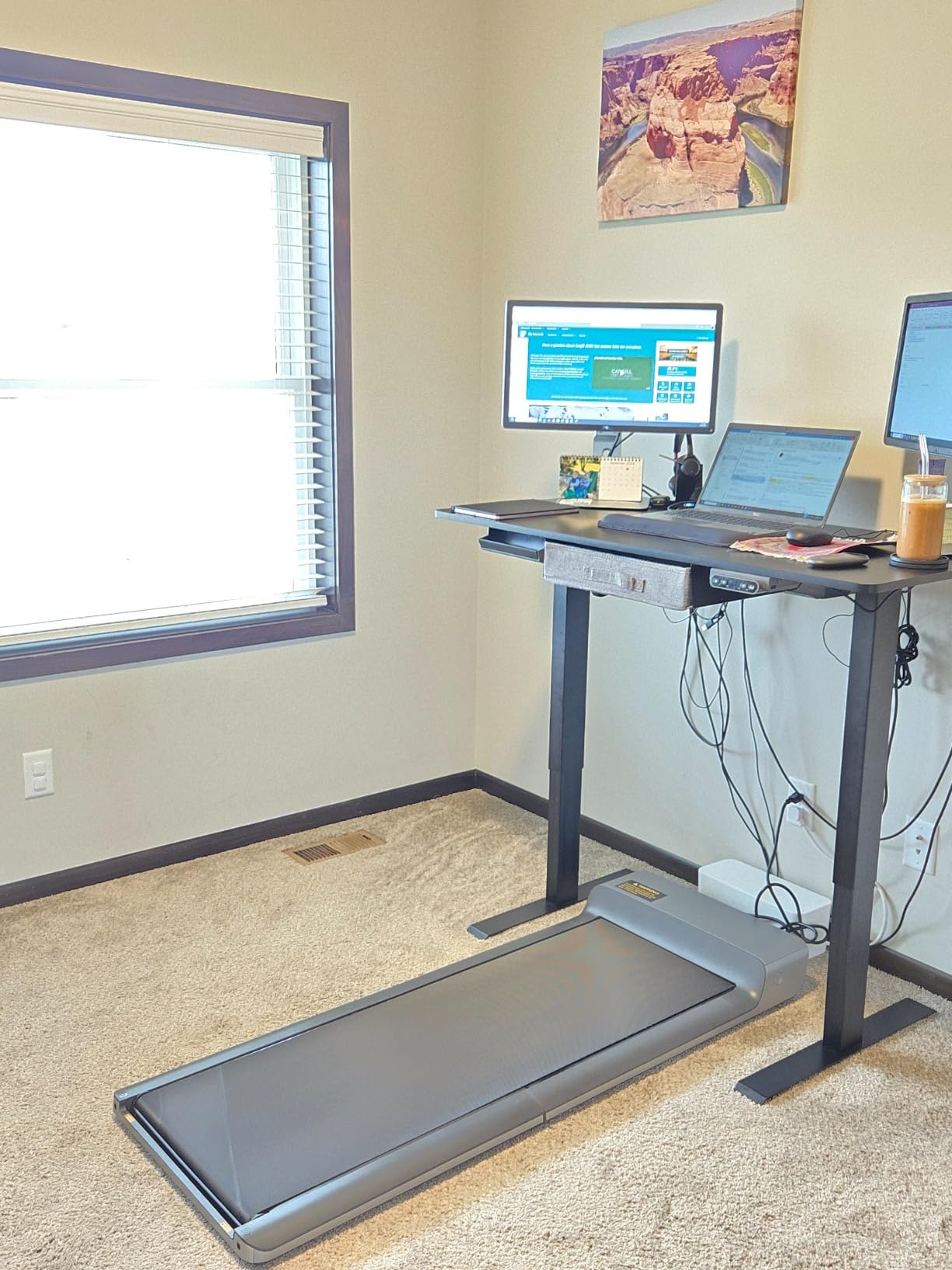 WalkingPad Foldable Walking Pad Treadmill, Under Desk Compact Design customer photo 1
