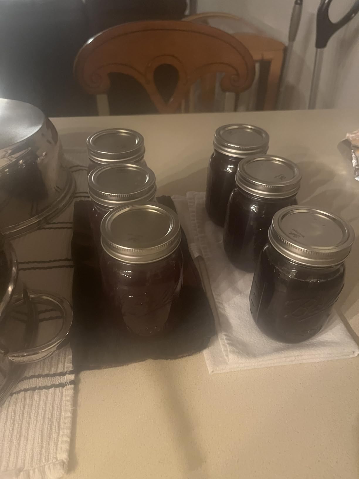 VIVOHOME Stainless Steel Steam Juicer for Canning Fruit and Grape Juice customer photo 2