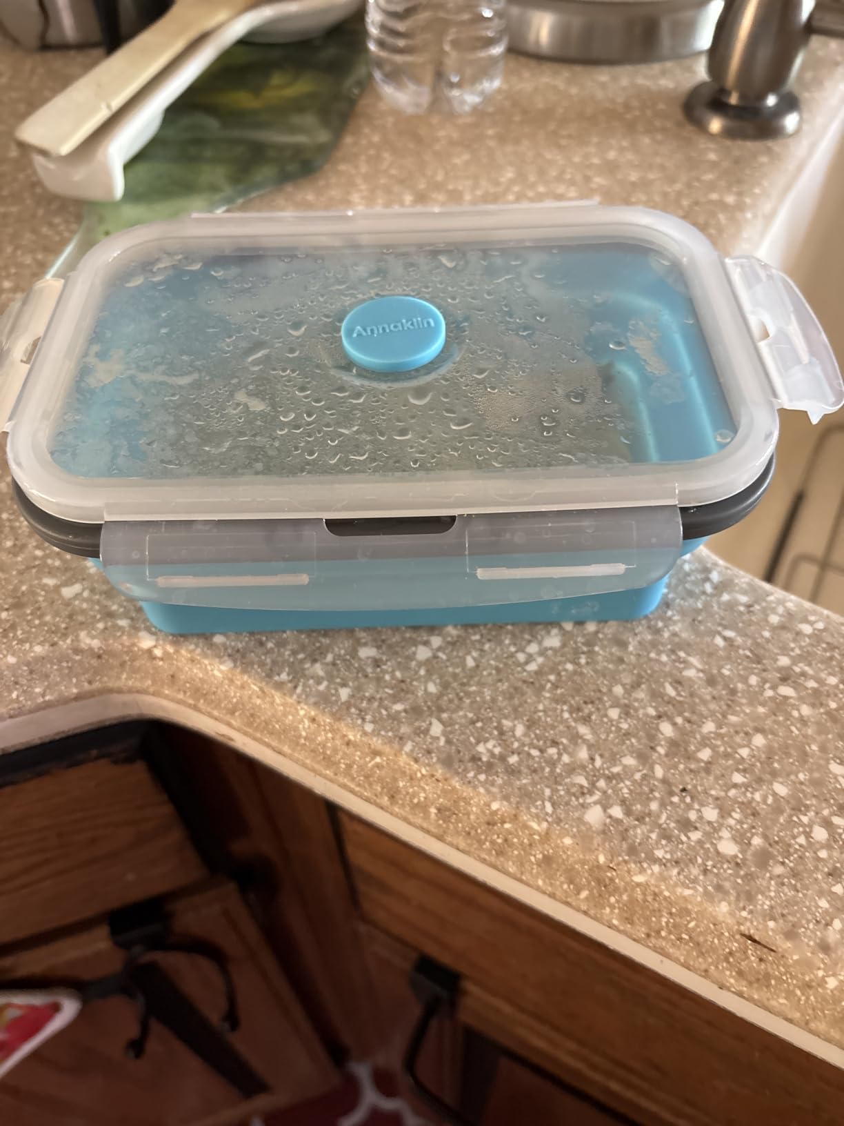 Collapsible Food Storage Containers with Lid & Air Vent, 16 Pack, 8 Rectangular + 8 Round, Annaklin Foldable Silicone Lunch Containers Collapsible Bowls Set, Microwave Freezer Dishwasher Safe, 4-Color customer photo 1