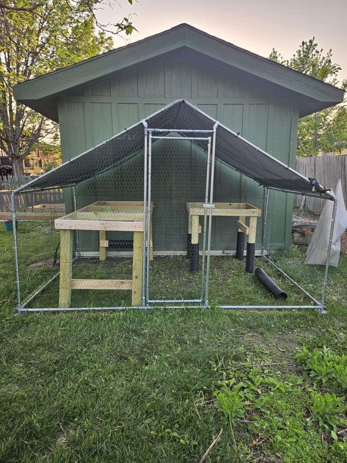 VEVOR Large Metal Chicken Coop, 19.7x9.8x6.5ft Walk-in Chicken Runs for Yard with Cover, Spire Roof Hen House with Security Lock for Outdoor and Backyard, Farm, Duck Rabbit Cage Poultry Pen customer photo 2