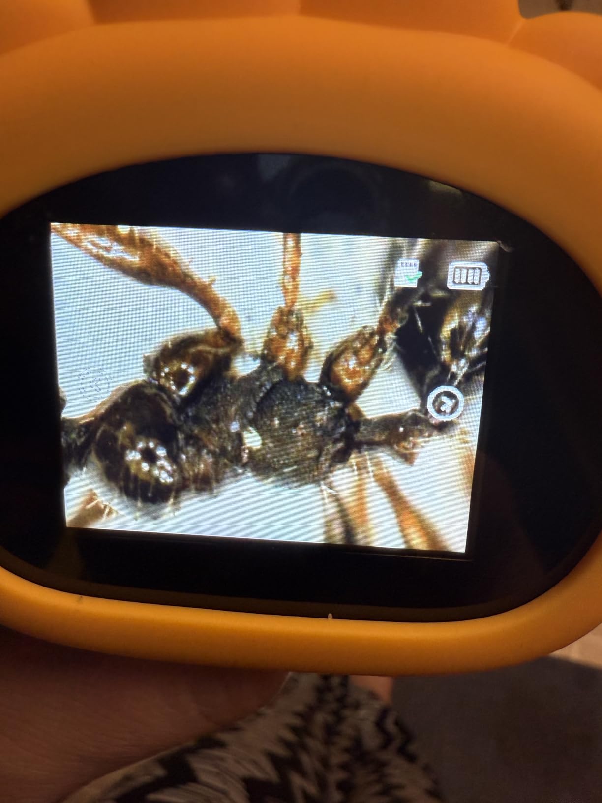 Microscope for Kids, SKYBASIC 2