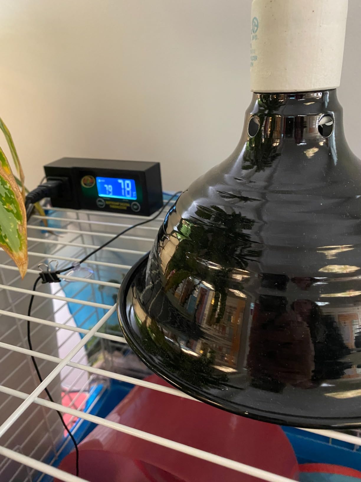 DOMICA 150W 2 Pack Reptile Heat Bulb, Beared Dragon Ceramic Heat Emitter, E26 No Light Night Use Heater Bulbs for Turtle, Lizard, Snake, Amphibians, Pet Brooder Coop Chicken (150W-Large Tank) customer photo 1