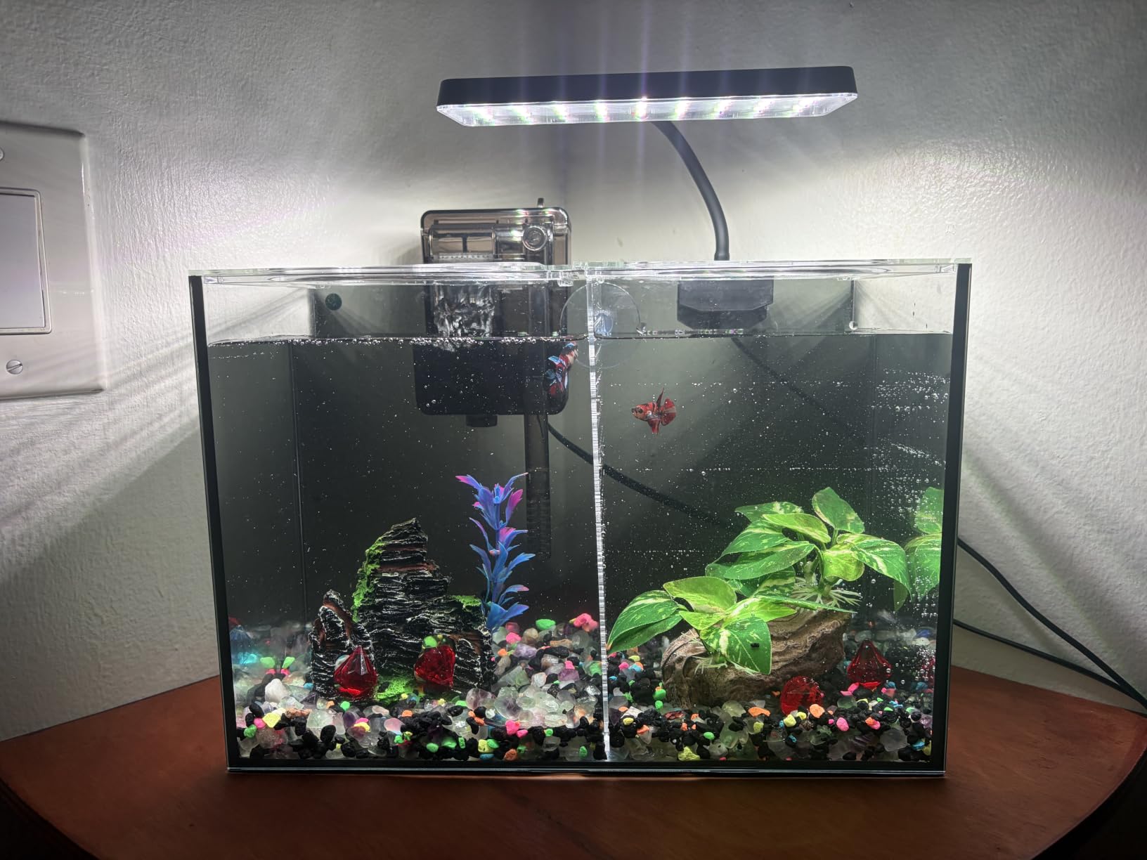 3 Gallon 12.6