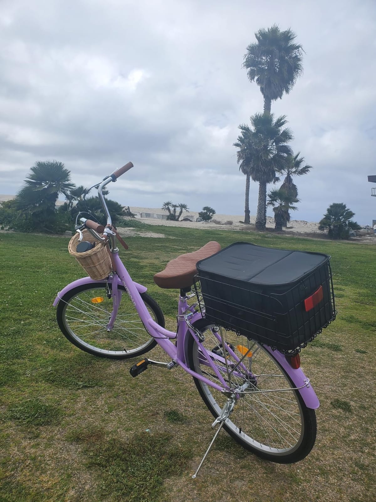 Max4out Women Bike Beach Cruiser Bike for Adult, 24 & 26 Inch Comfort Bikes with Rattan Front Basket, Womens Bicycle with Adjustable Seat and Dual V-Brake (Pink & White & Green & Purple & Black) customer photo 2