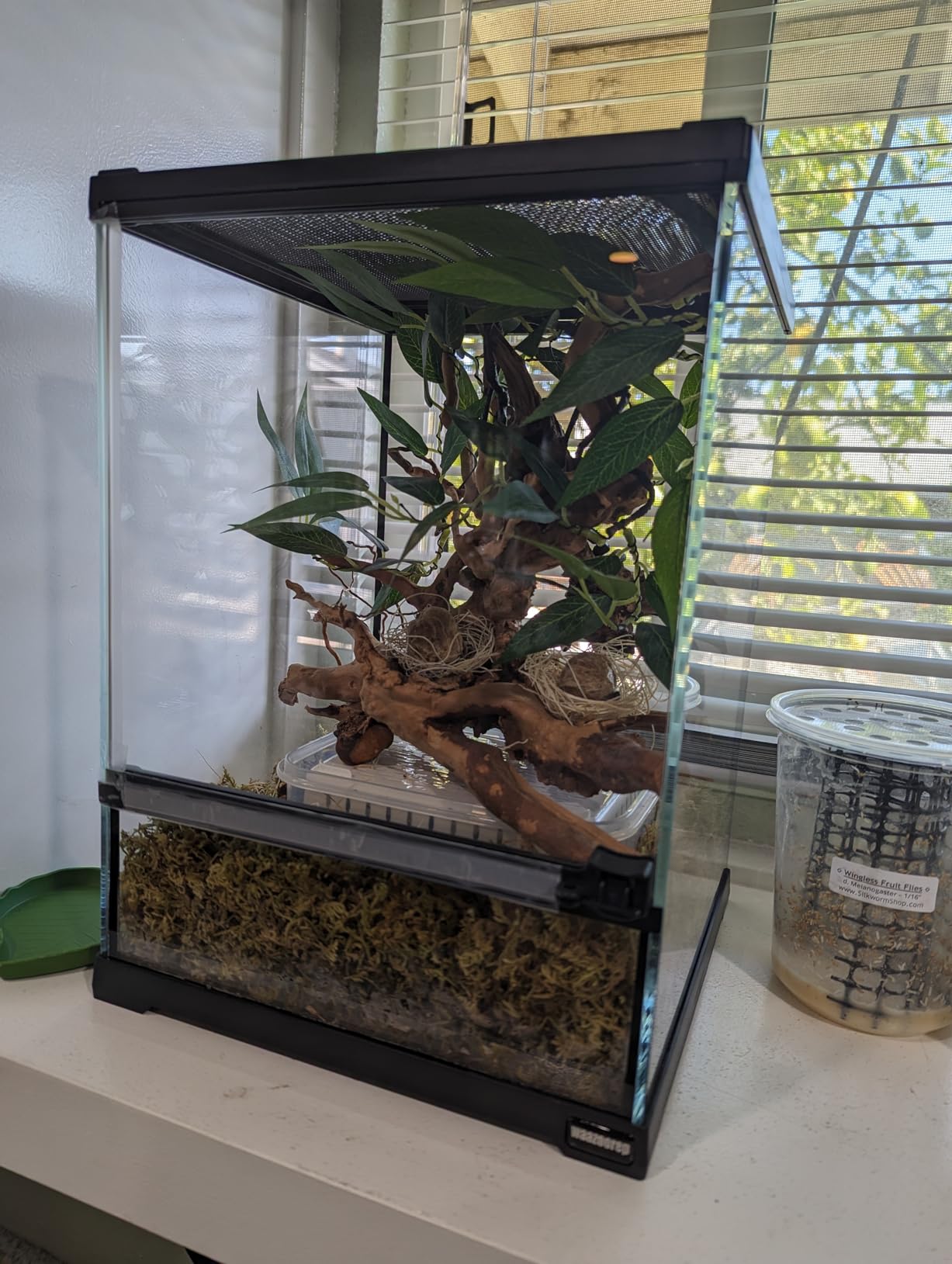 11 Gallon Tall Reptile Glass Tank 12
