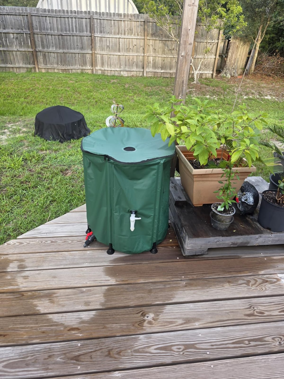 Collapsible Rain Barrel Water Storage Containers-53 Gallon Portable Rainwater Collect System Water Tank to Collect Rainwater from Gutter Downspout Water Catcher with Spigots,Filter&Overflow Kits customer photo 2