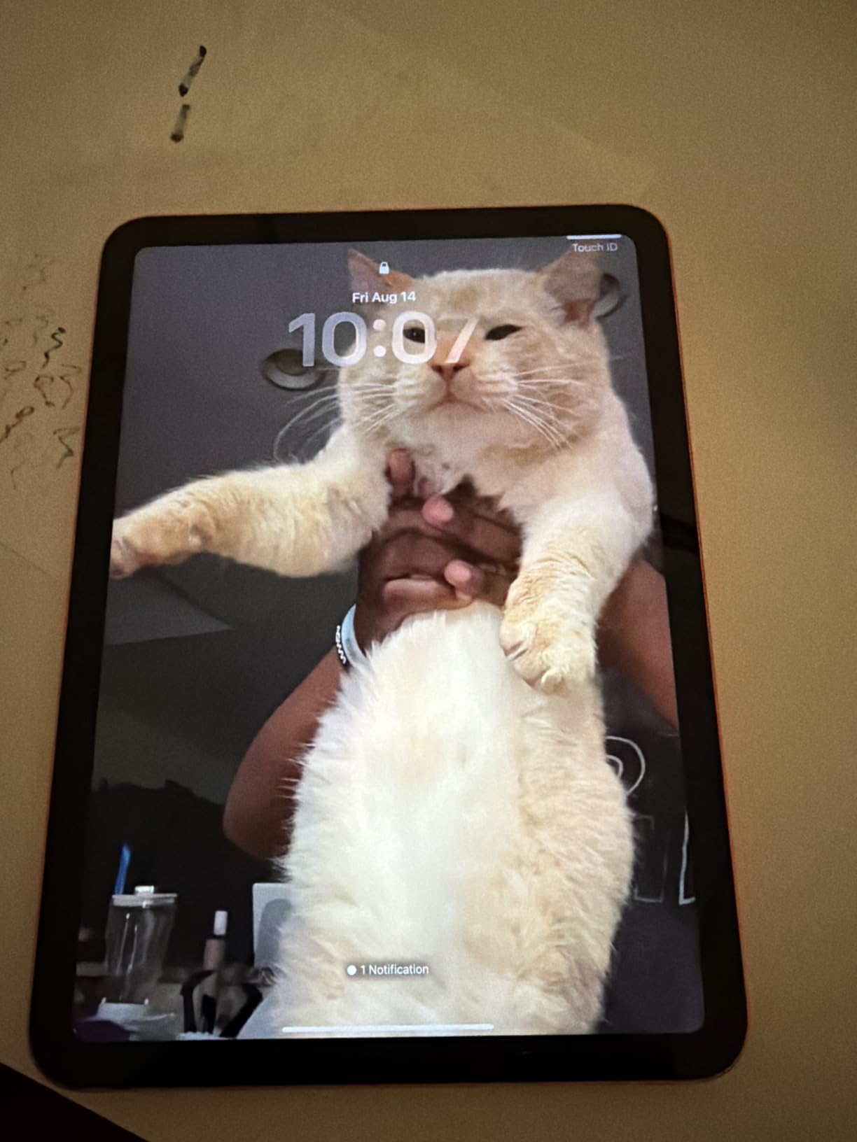 Apple iPad 11-inch: A16 chip, 11-inch Model, Liquid Retina Display, 128GB, Wi-Fi 6, 12MP Front/12MP Back Camera, Touch ID, All-Day Battery Life — Blue customer photo 2