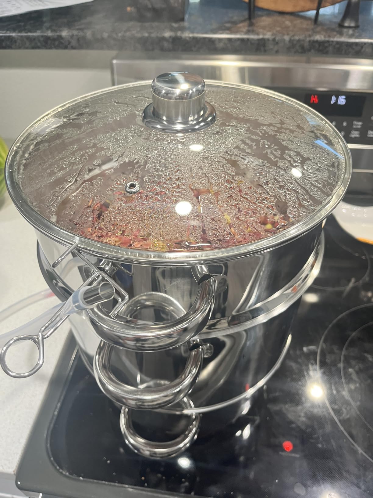 Juice Steamer Extractor, 11 Qt 304 Stainless Steel, Canning Steamer Kit for Fruit/Vegetable Juice, Jelly customer photo 1