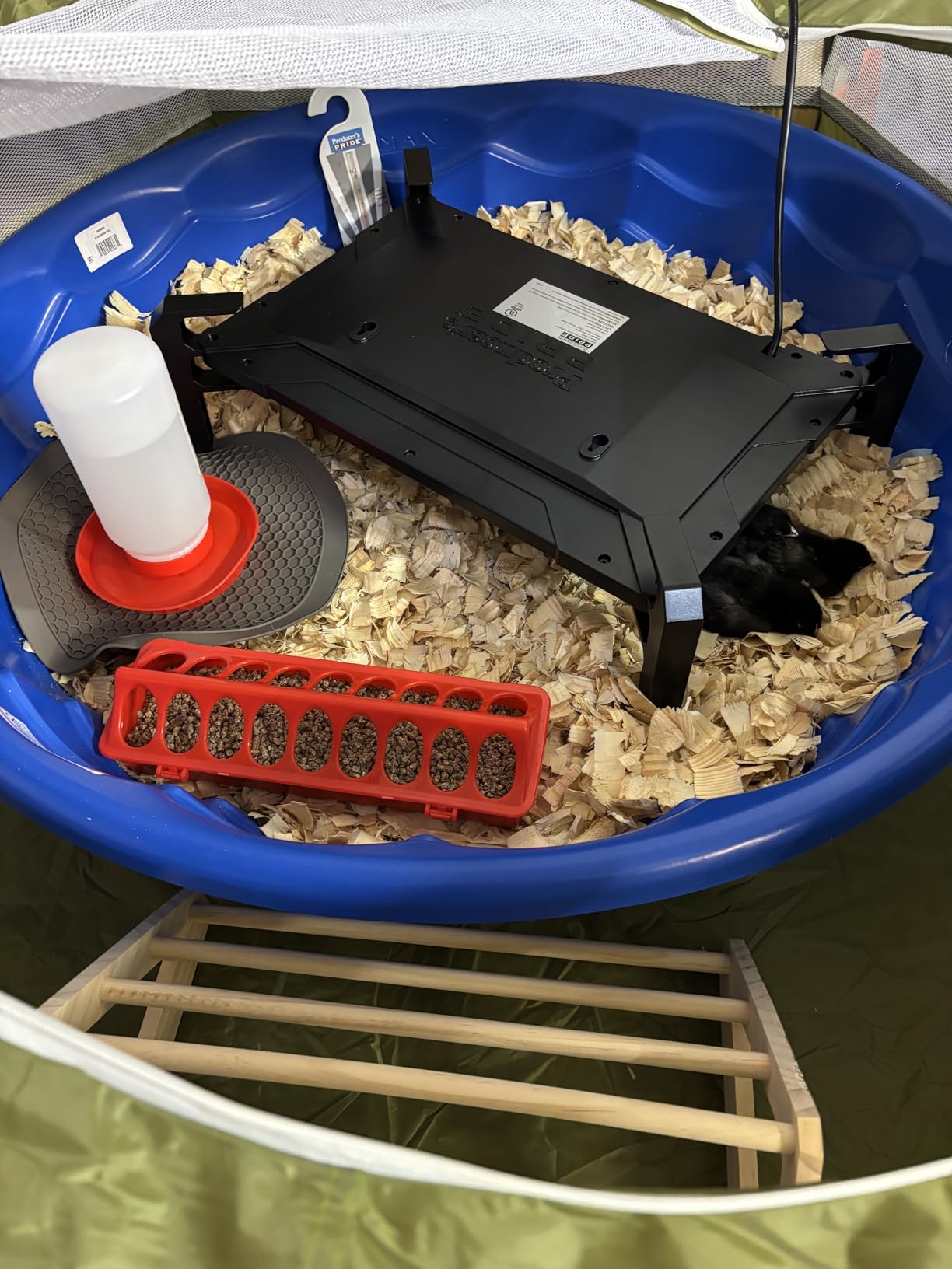 Pawaboo Chick Brooder Box for Chick Starter Kit, Red+Black customer photo 1