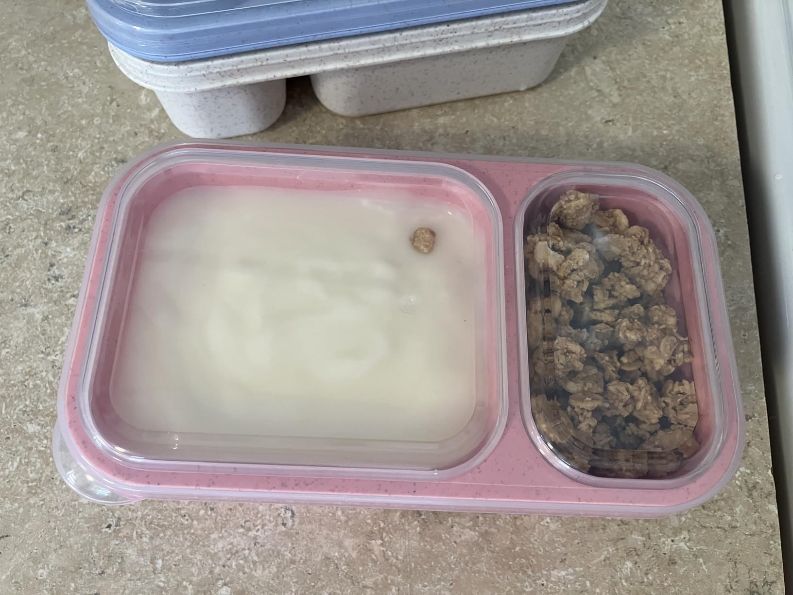 DOSEWART 2-Compartment Reusable Snack Containers with Lids customer photo 1