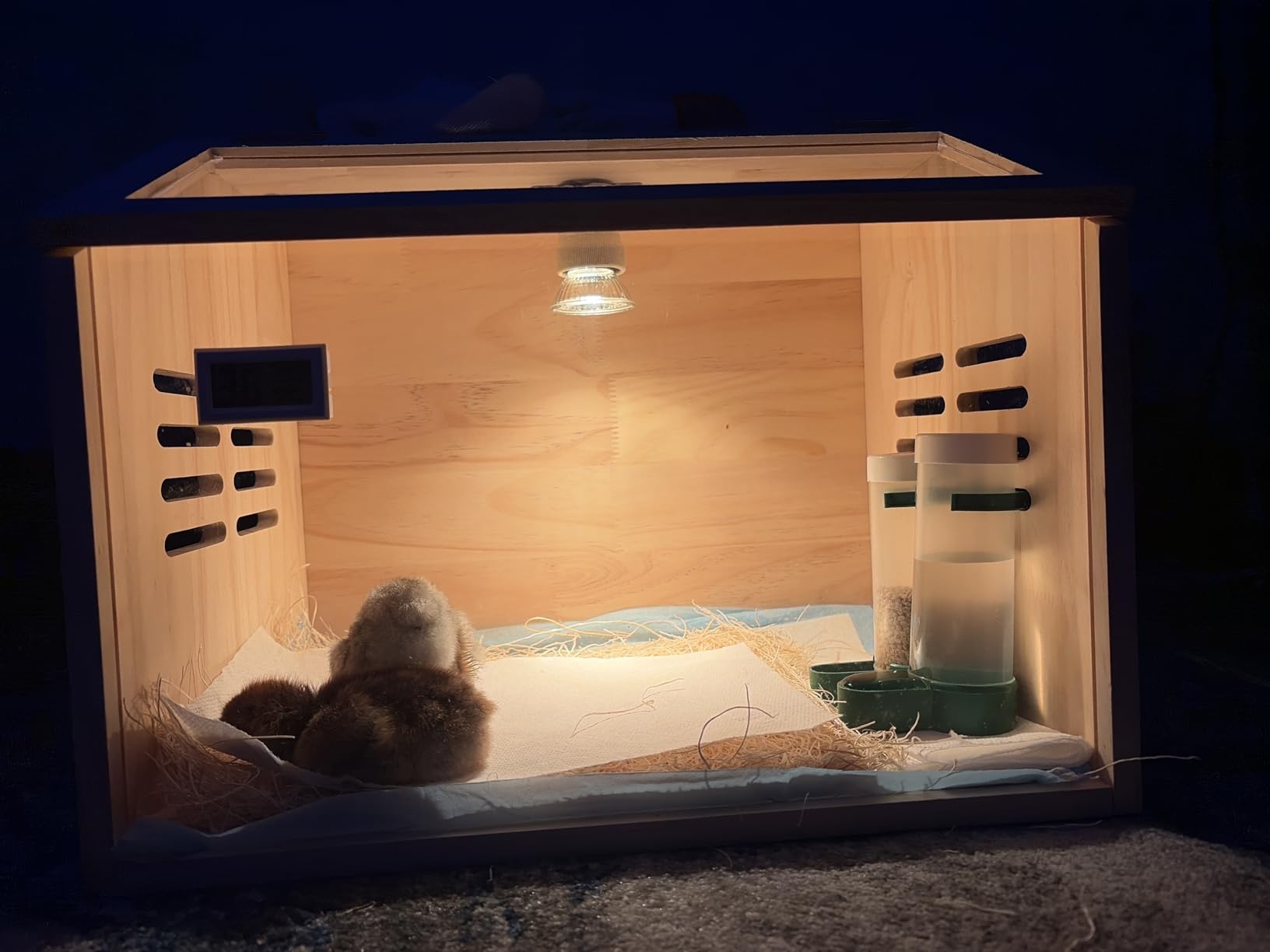 Wooden Chick Brooder Box with Heat Lamp and Thermometer, 15.7 x 12 x 12 in customer photo 1