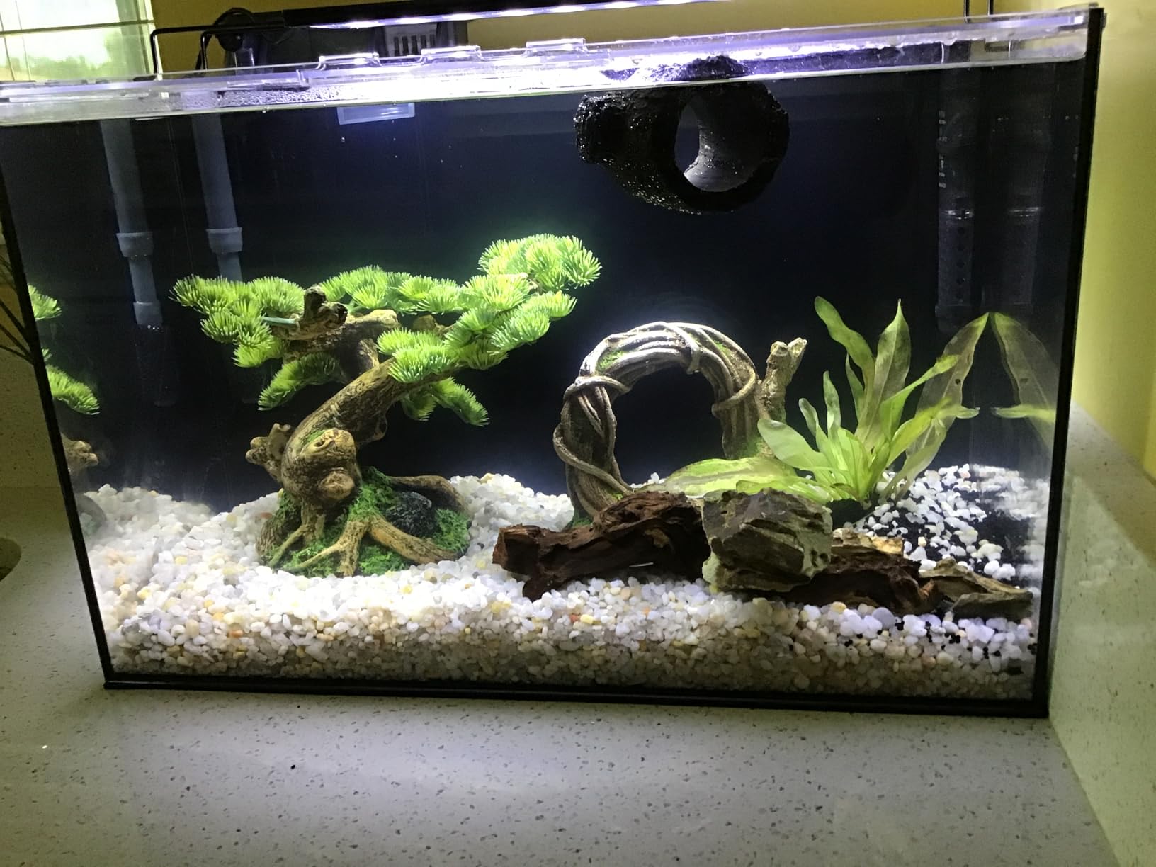10 Gallon Aquarium Set Glass Fish Tank, Heater Self Cleaning System Filter with Media Bright Light Cleaning Tool, Leak-Proof Clear Rimless Betta Tropical Freshwater Fish customer photo 2