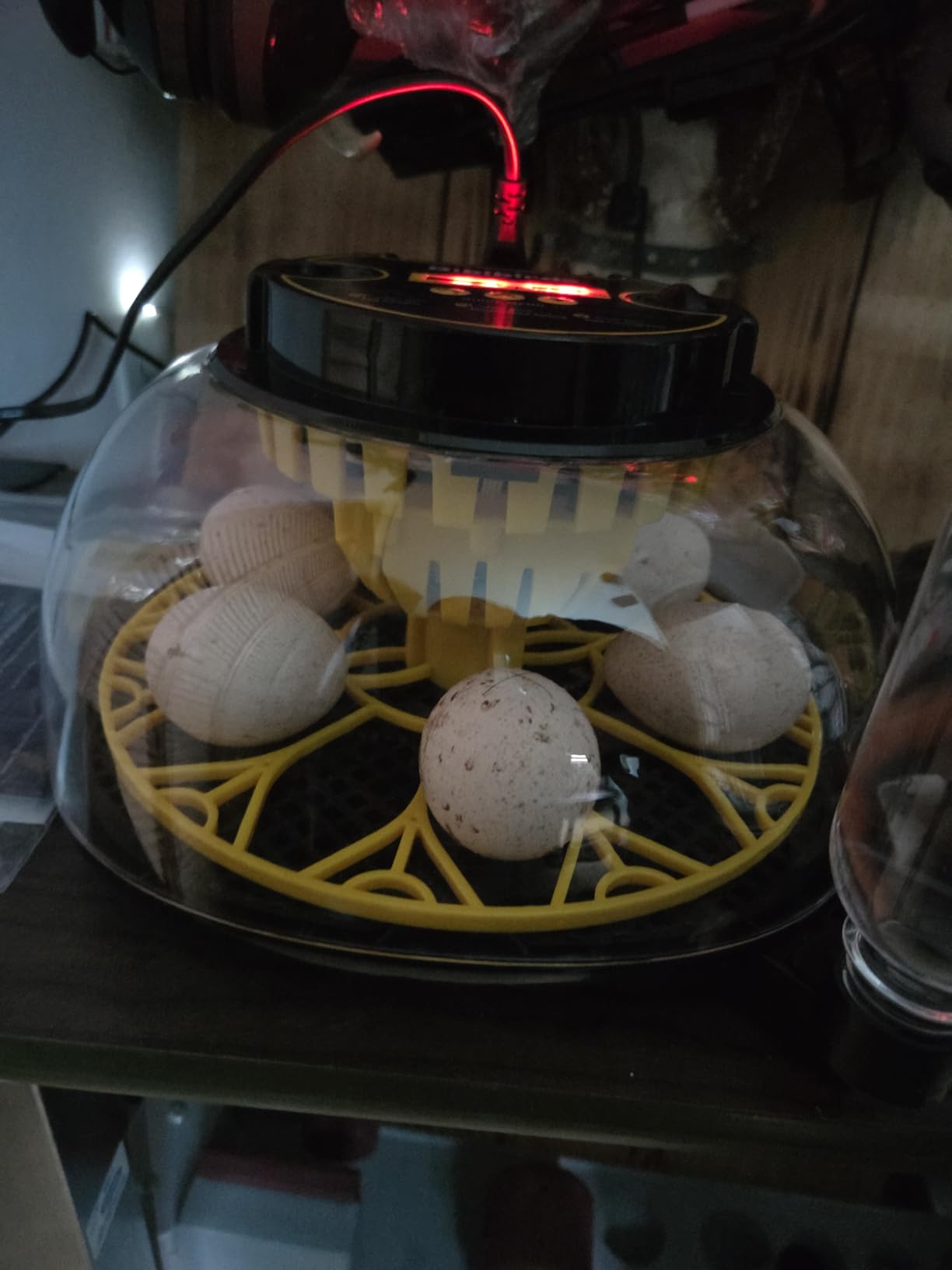 Incubators for Hatching Eggs with Automatic Egg Turning and Humidity DisplayTemperature Control Auto Water Fill Egg Candler 12Egg Hatch Chick Quail Duck Turkey Goose Parrot Bird Eggs customer photo 2