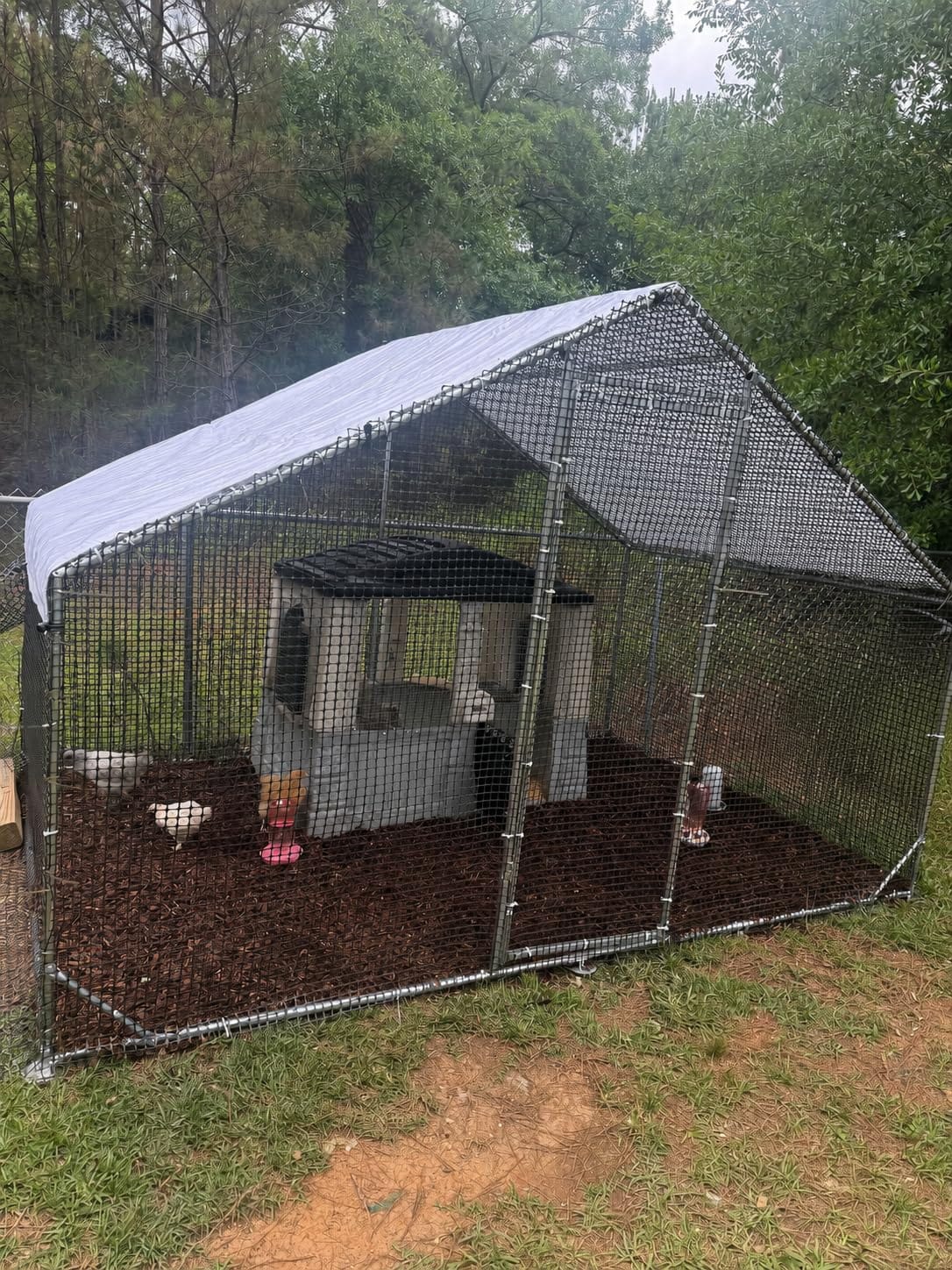 CAMMOO Walk in Chicken Coop, 9.8x6.6x6.6ft Chicken Run for Yard with Cover customer photo 1