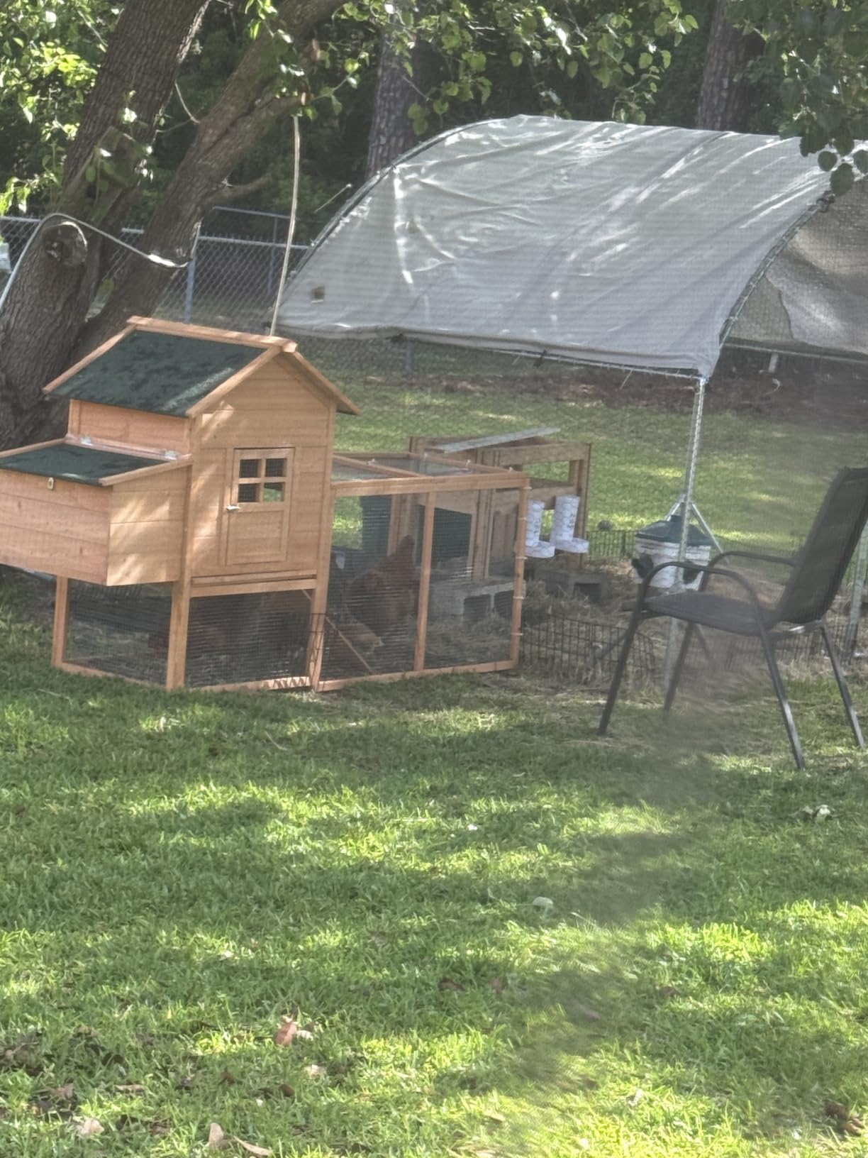 Outdoor Mobile Chicken Coop with Wheels and Sun Board for 4 Chickens customer photo 2