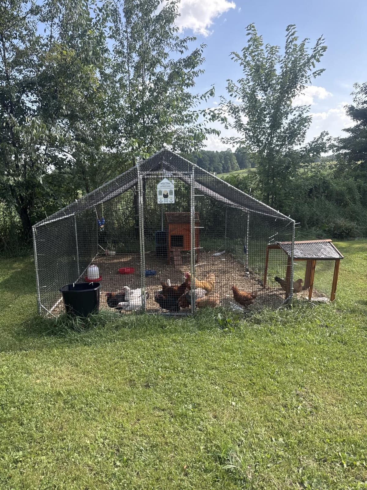 CAMMOO Walk in Chicken Coop, 19.7x9.8x6.6ft Chicken Run for Yard with Cover customer photo 2