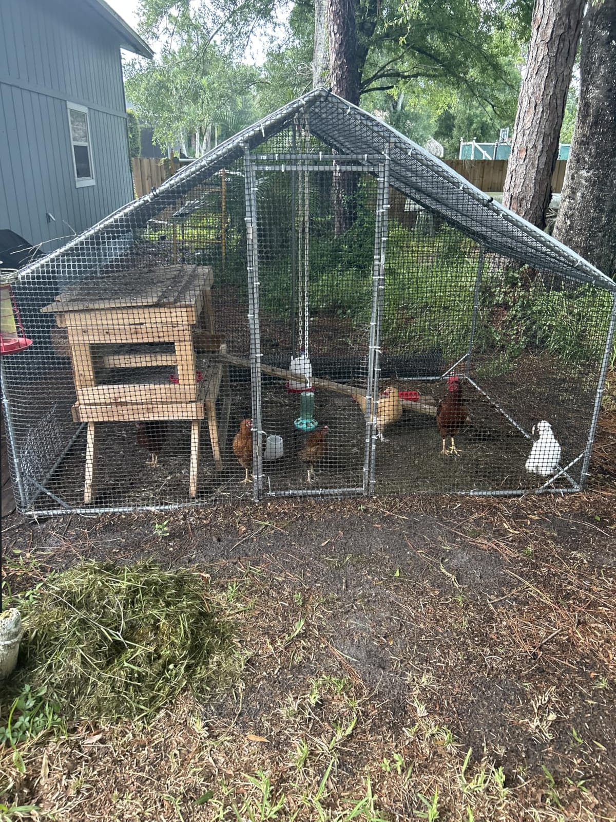 Large Walk-in Chicken Coop with Chicken Run, Galvanized Poultry Enclosure with Waterproof Anti-UV Cover and Security Lock, Ideal for Rabbit, Duck, Backyard and Farm Yard,9.8'x 6.6'x 6.6' customer photo 1
