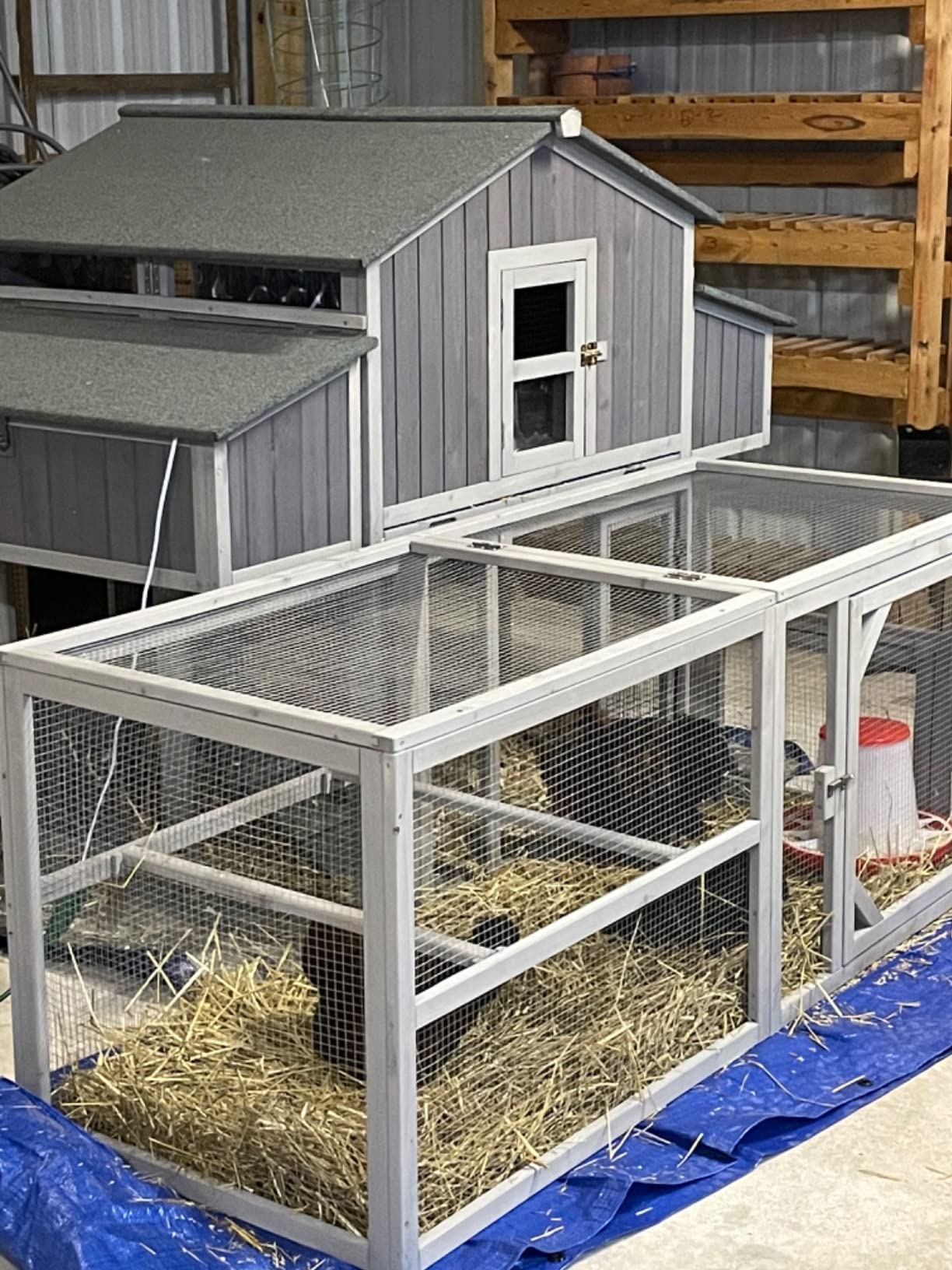 Aivituvin Extra Large Chicken Coop with Run for 6-10 Chickens, Weatherproof customer photo 1