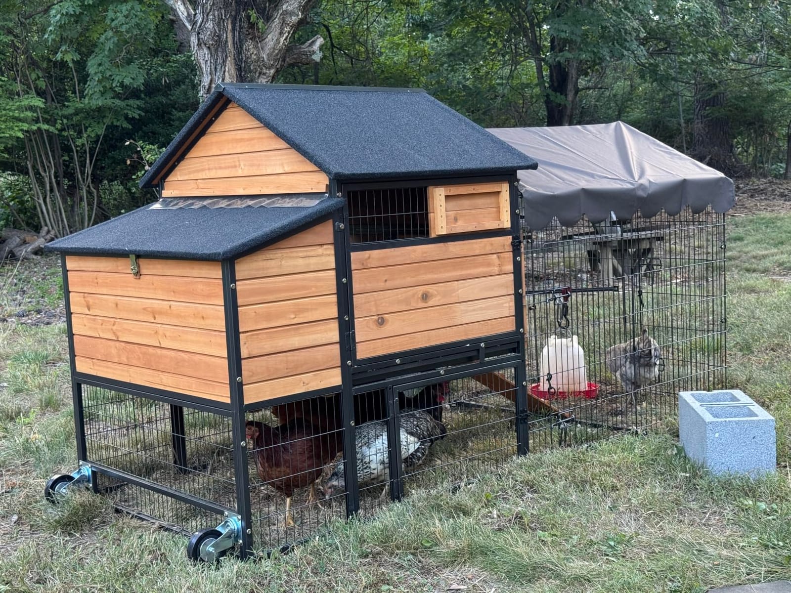 Wooden Chicken Coop, Large Chicken Tractor with Wheels, Weatherproof Hen House with Nest Box and Removable Tray, Mobile Poultry Hutch for 2-4 Chickens, Rabbits & Ducks (Brown) customer photo 1
