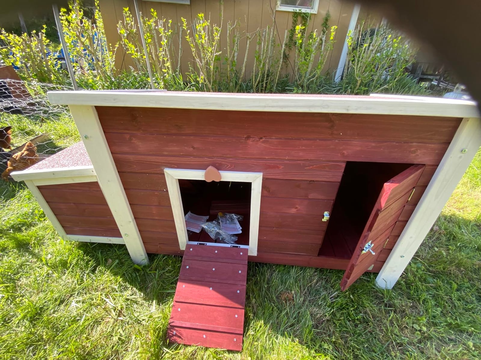 Petsfit Outdoor Chicken Coop with Run for 4-6 Chickens, 3 Nesting Boxes customer photo 1