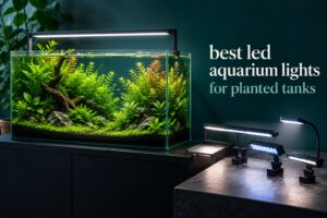 best led aquarium lights for planted tanks